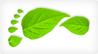 reducing carbon footprint