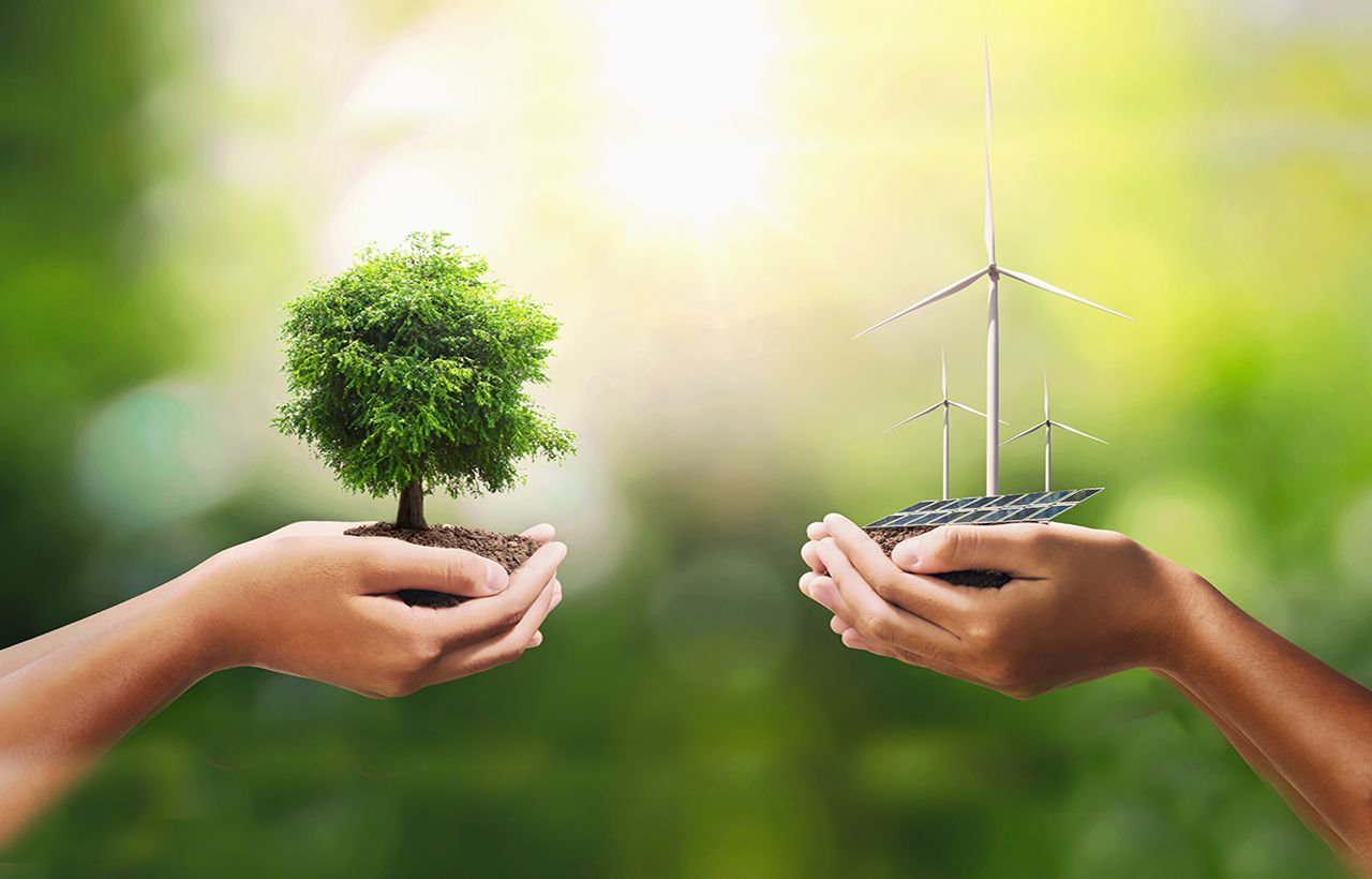 Reducing Your Business Carbon Footprint.